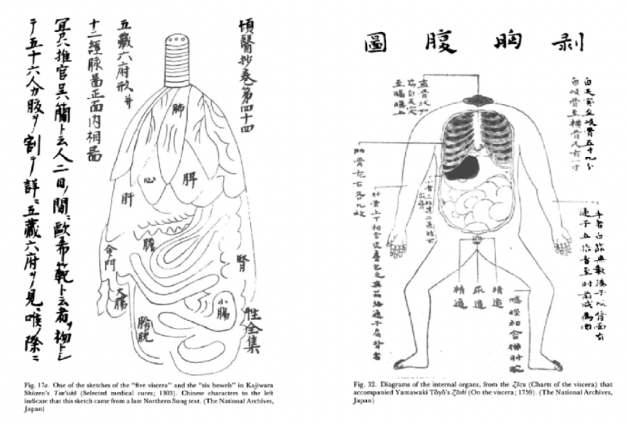 historische achtergrond shiatsu 2